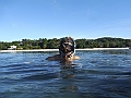 IMG_4580