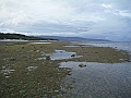 IMG_4606