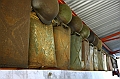 IMG_4615