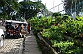 IMG_4623