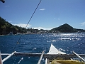 IMG_4633