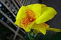 IMG_4659