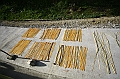 IMG_4680