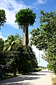 IMG_4685