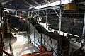 IMG_4744