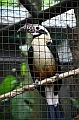 IMG_4772