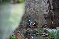 IMG_4773