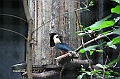 IMG_4774