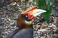 IMG_4776