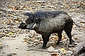 IMG_4777