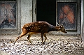IMG_4778