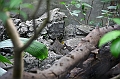 IMG_4780