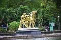 IMG_4784