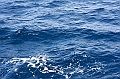 IMG_4811