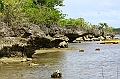 IMG_4867