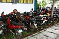 IMG_4881