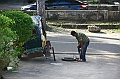 IMG_4884