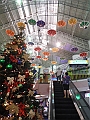 IMG_4887
