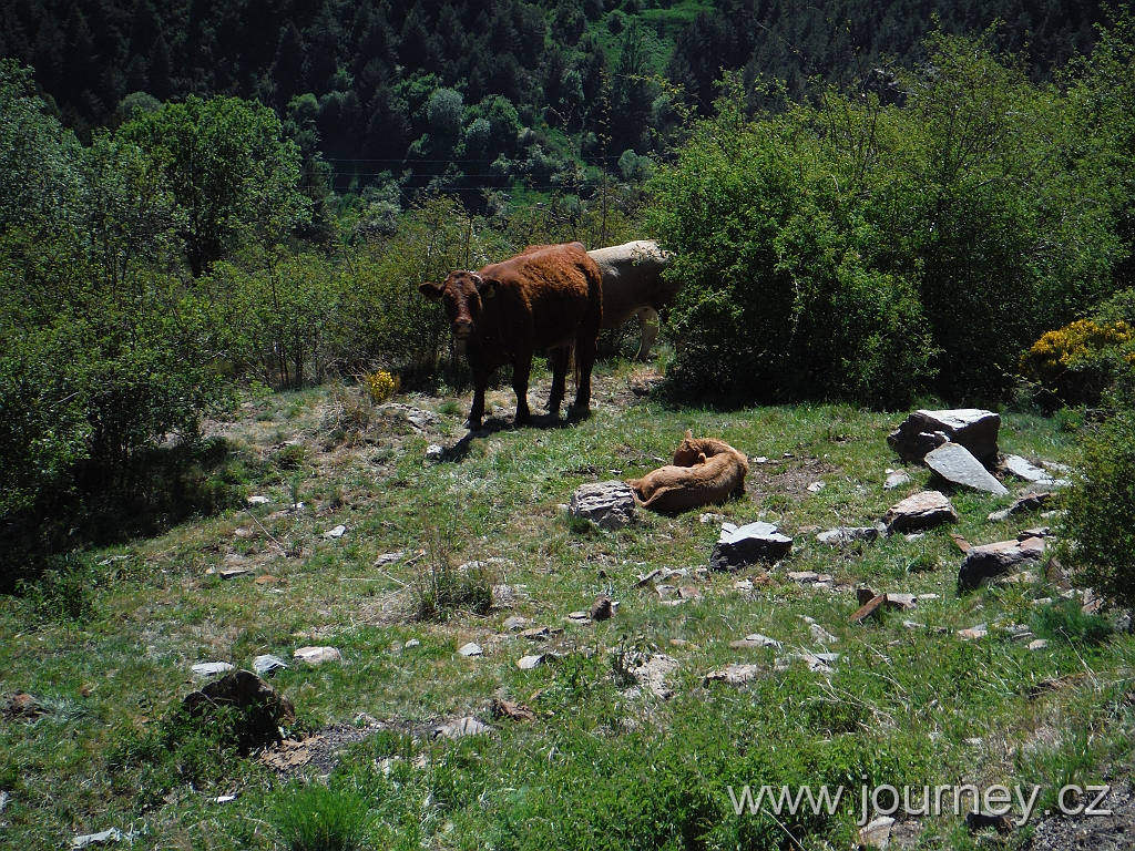 DSCF2256.JPG