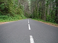 DSCF2141