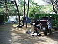 DSCF2155