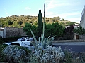 DSCF2157