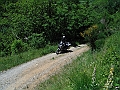 DSCF2236