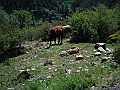 DSCF2256