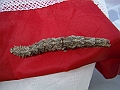 DSCF2307
