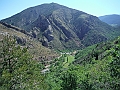 DSCF2310
