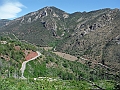 DSCF2316