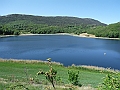DSCF2317