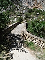DSCF2343