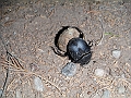 DSCF2378