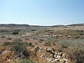 DSCF2396