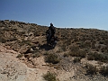 DSCF2398