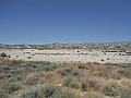 DSCF2429