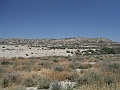 DSCF2430