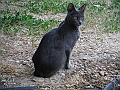 DSCF2439
