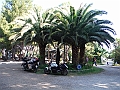 DSCF2440