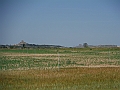 DSCF2451