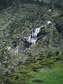 DSCF2463
