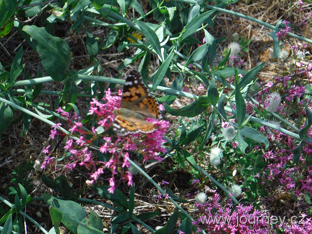 DSCF4283.JPG