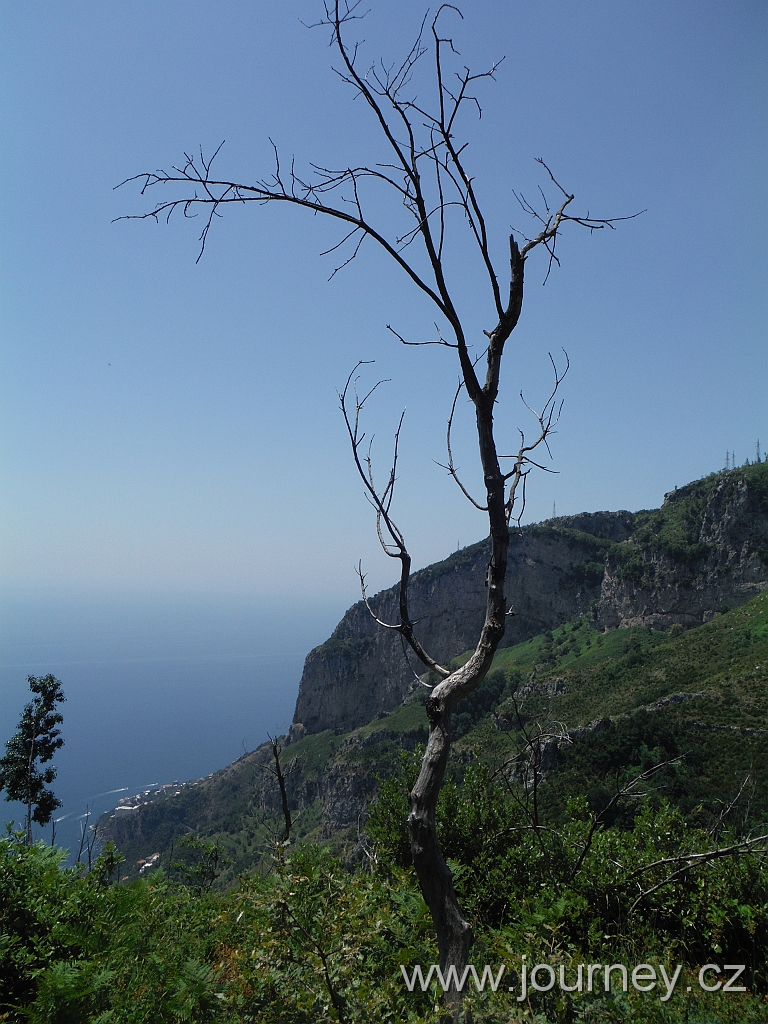 DSCF4314.JPG