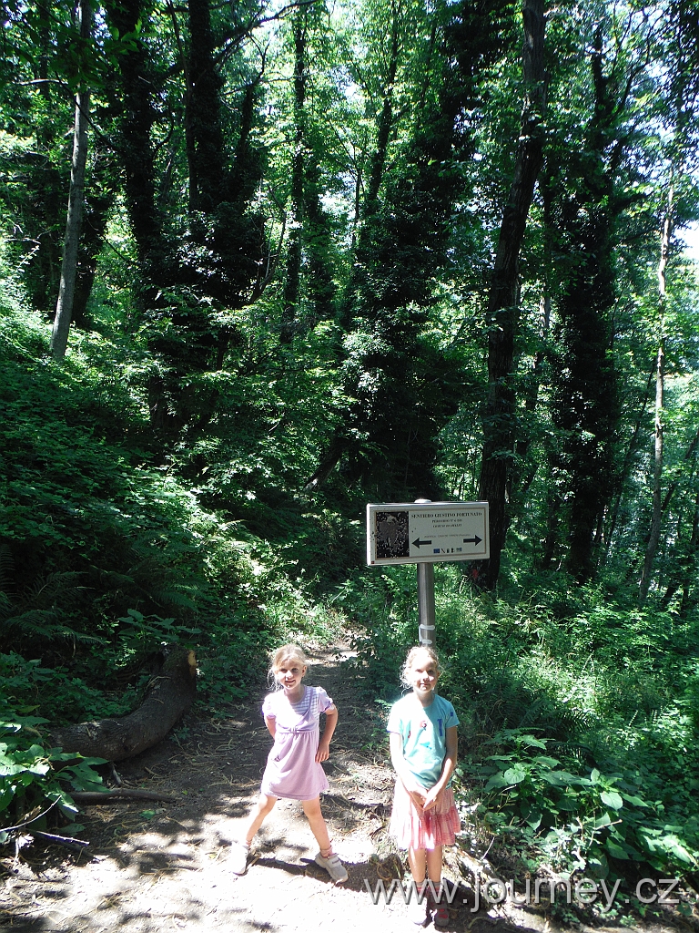 DSCF4323.JPG
