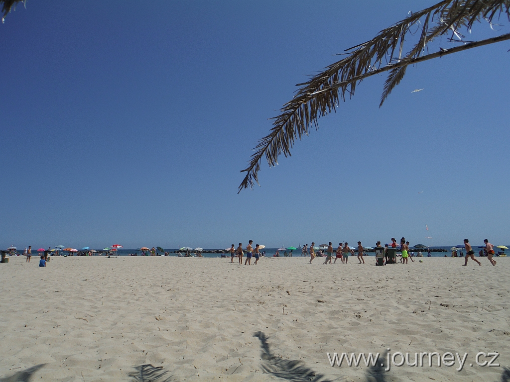 DSCF4395.JPG