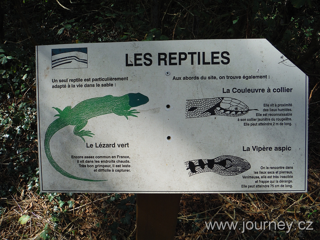 DSCF4530.JPG