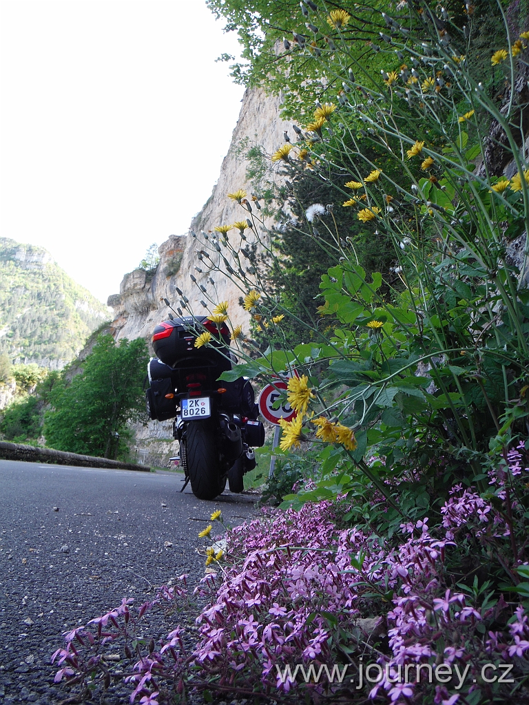 DSCF3961.JPG