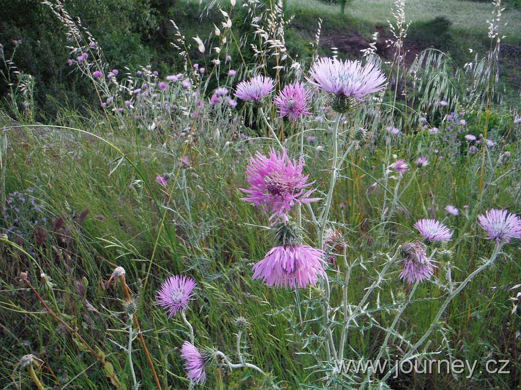DSCF3968.JPG