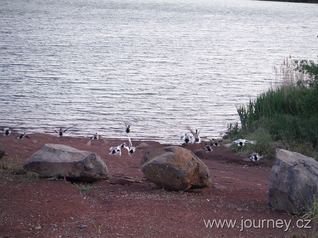 DSCF3970.JPG